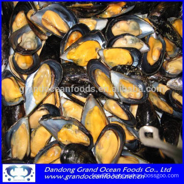 seafood frozen boiled mussel with shell